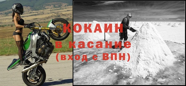 прущие грибы Баксан