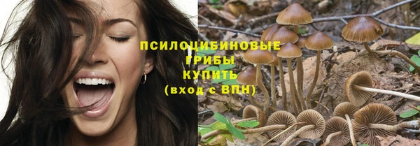 ешки Армянск