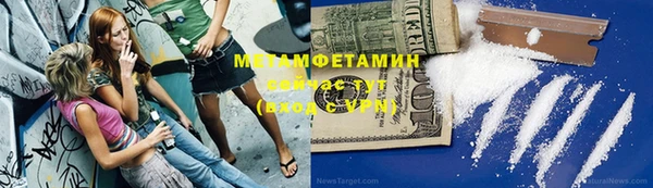 прущие грибы Баксан
