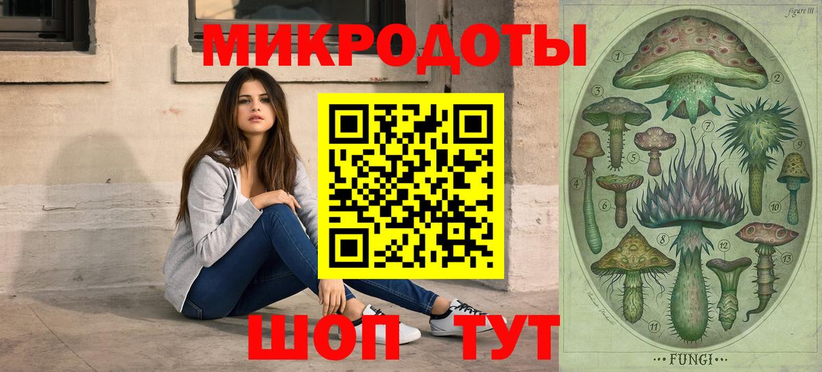 Галлюциногенные грибы мухоморы Карачаевск